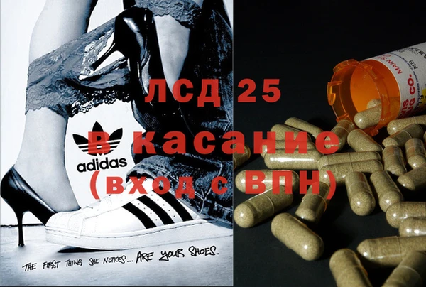 spice Краснослободск