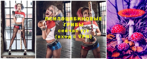 крисы Белоозёрский