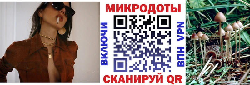 как найти закладки  Нариманов  Галлюциногенные грибы Psilocybine cubensis 